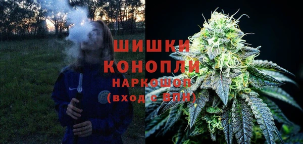 молекула духа Володарск