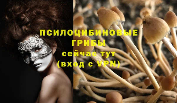 молекула духа Володарск