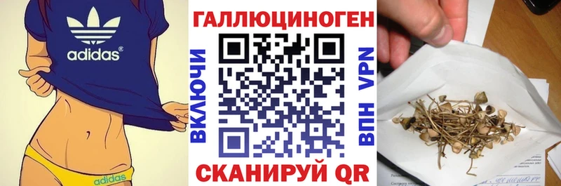 Галлюциногенные грибы Psilocybine cubensis  купить  сайты  Невьянск 